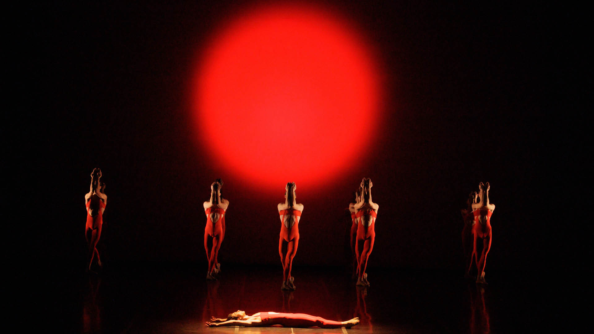 未開封 BEJART BALLET LAUSANNE WORLD TOUR写真集 Béjart Ballet Lausanne | Tickets | Forest National