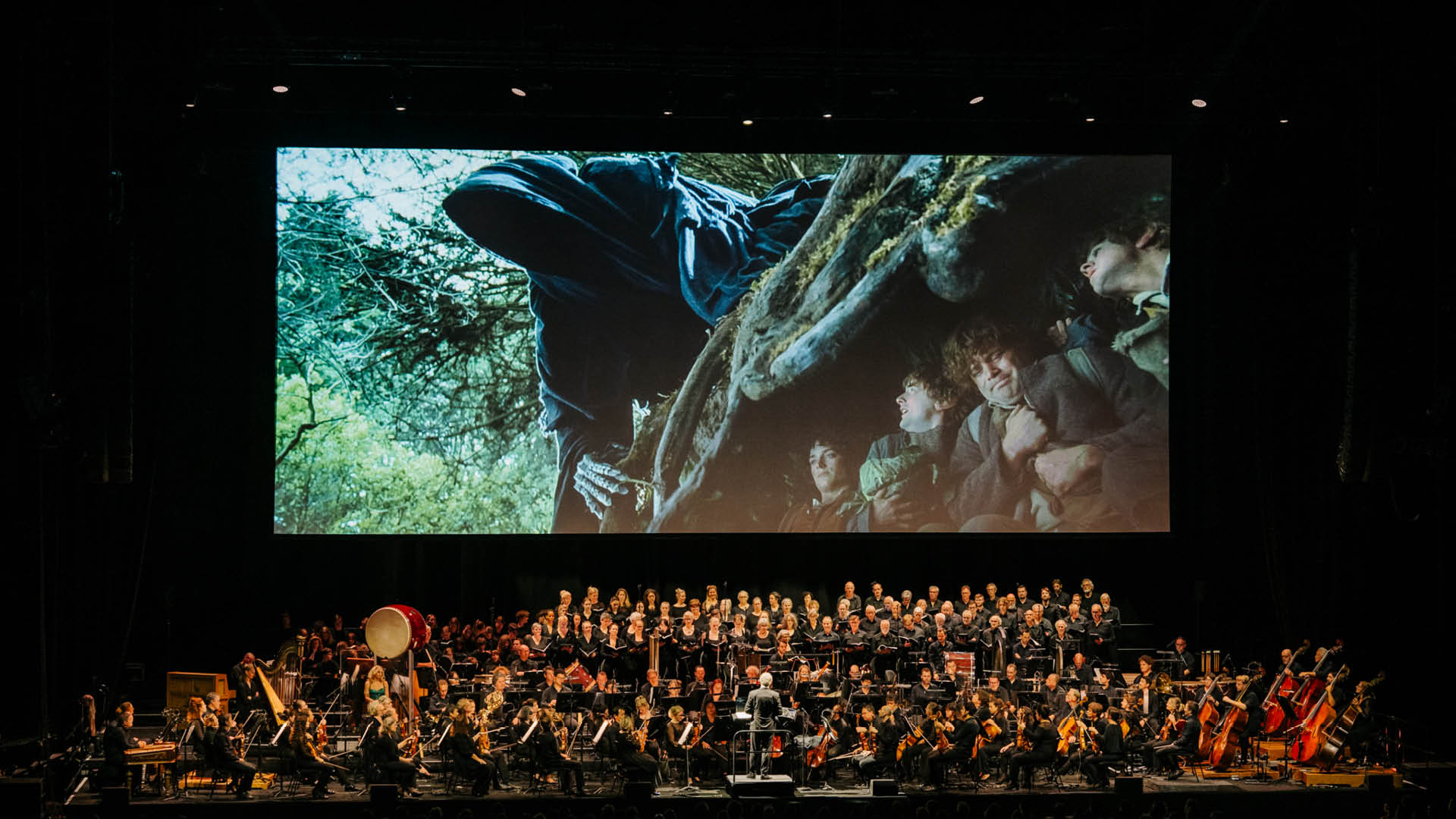 The Lord of the Rings: The Fellowship of the Ring in Concert